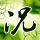 独立游戏《猫头鹰男孩》增加中文 史低促销只要46元